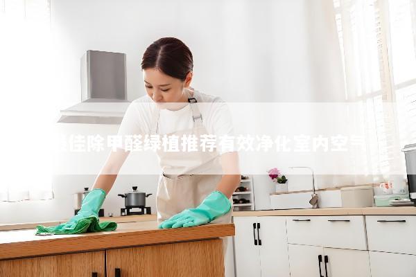 最佳除甲醛绿植推荐有效净化室内空气