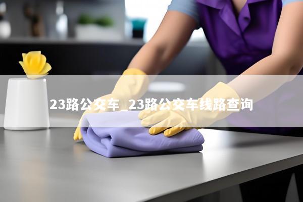 23路公交车_23路公交车线路查询